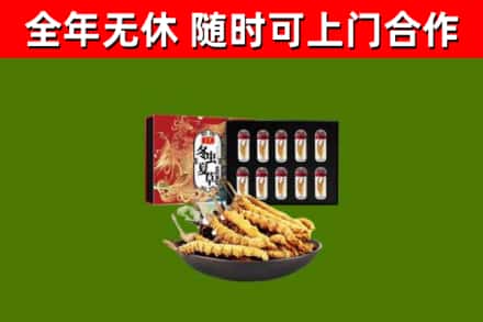 黄州烟酒回收冬虫夏草礼盒.jpg